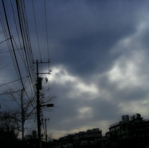 昼前の代官山(帰宅中)にて。(コンタ) 昼前の代官山(帰宅中)にて。(コンタ)